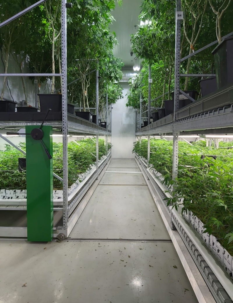 image of vertical growing equipment for sale from MMI Agriculture. drying racks for sale. Get a quote on vertical grow racks for your cannabis grow. bloom room equipment.