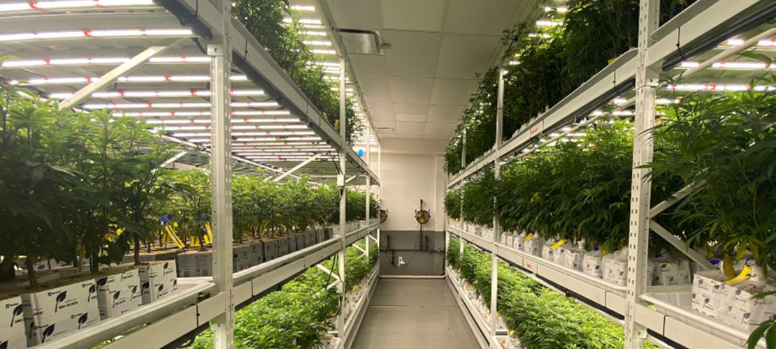 using vertical grow racks for hemp and marijuana indoor grow