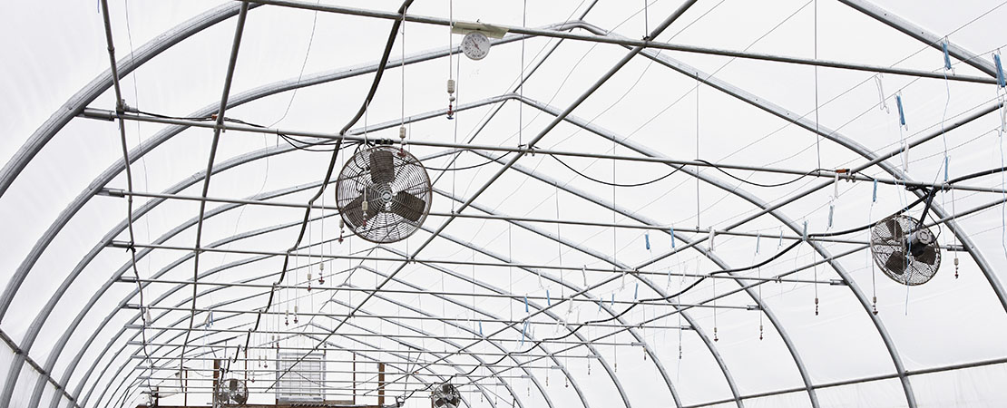 ventilation & air circulation inside grow room warehouses that grow marijuana. buy vertical grow rack systems USA.