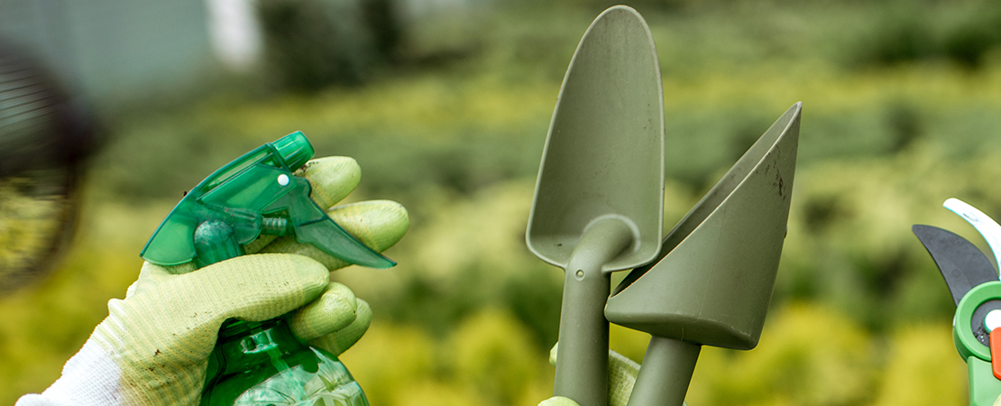 Farmer with planting supplies. how to sterilize soil with hydrogen peroxide. vertical farming technology.