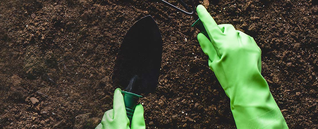 Farmer planting cannabis seeds in soil sterilized with hydrogen peroxide. Buy vertical farming racks.