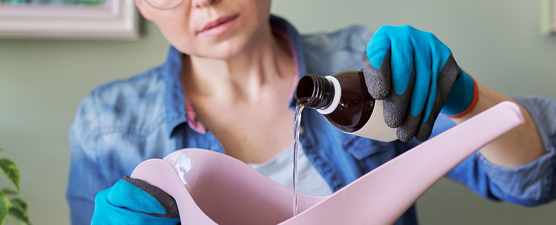 Woman farmer using hydrogen peroxide to sterilize soil. 