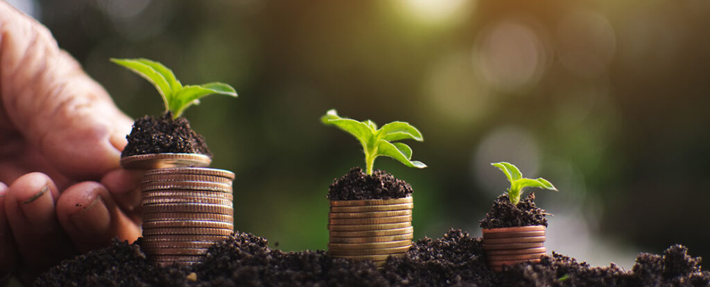 Vertical Farming Investment: Top 3 Ways To Invest - MMI Agriculture ...