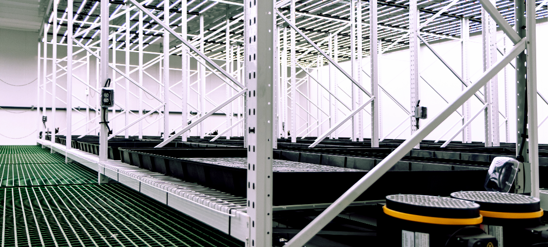 commercial grow facility design with vertical racking