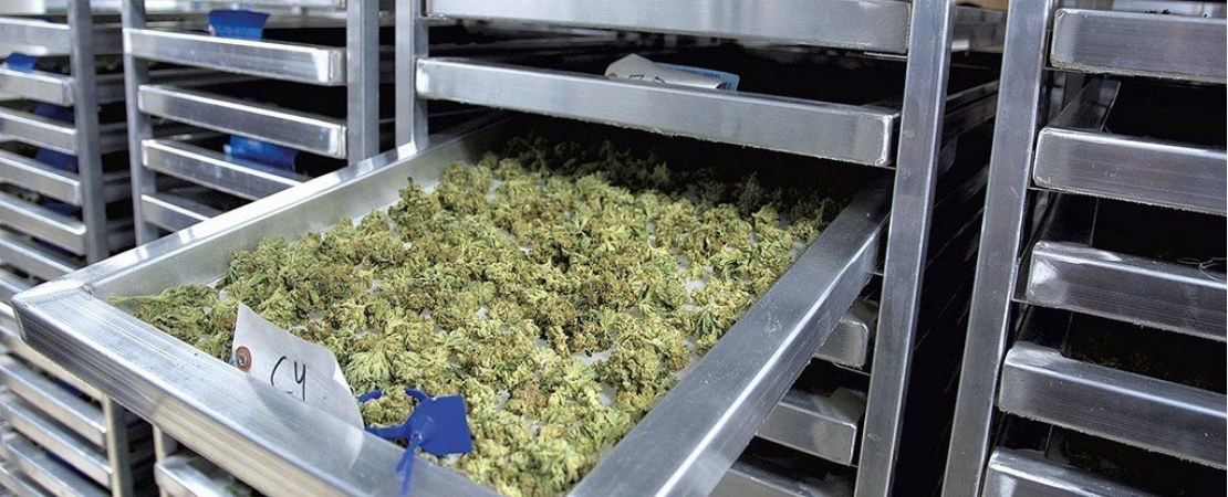 With many trimmed individual buds, the most convenient way to dry them would be on a flat rack.