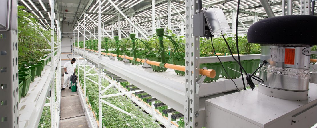 Indoor vertical farming is an agricultural solution geared at meeting the food needs of the present. It's also an innovation aimed at solving the projected problem of population growth in urban centers. 