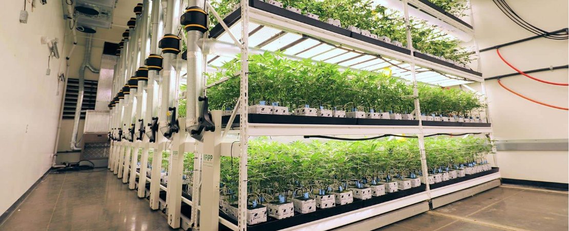 Vertical grow racks are made similarly to shelves you see in Costco or Home Depot. They are high-density steel structures that can support heavy weights.