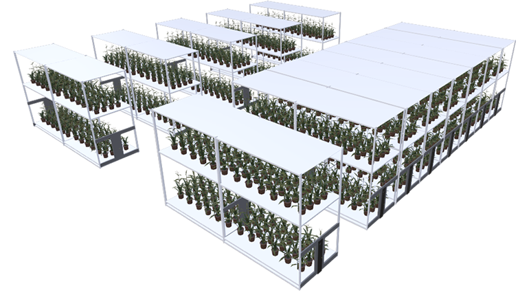 Vertical Farming Archives - MMI Agriculture Solutions